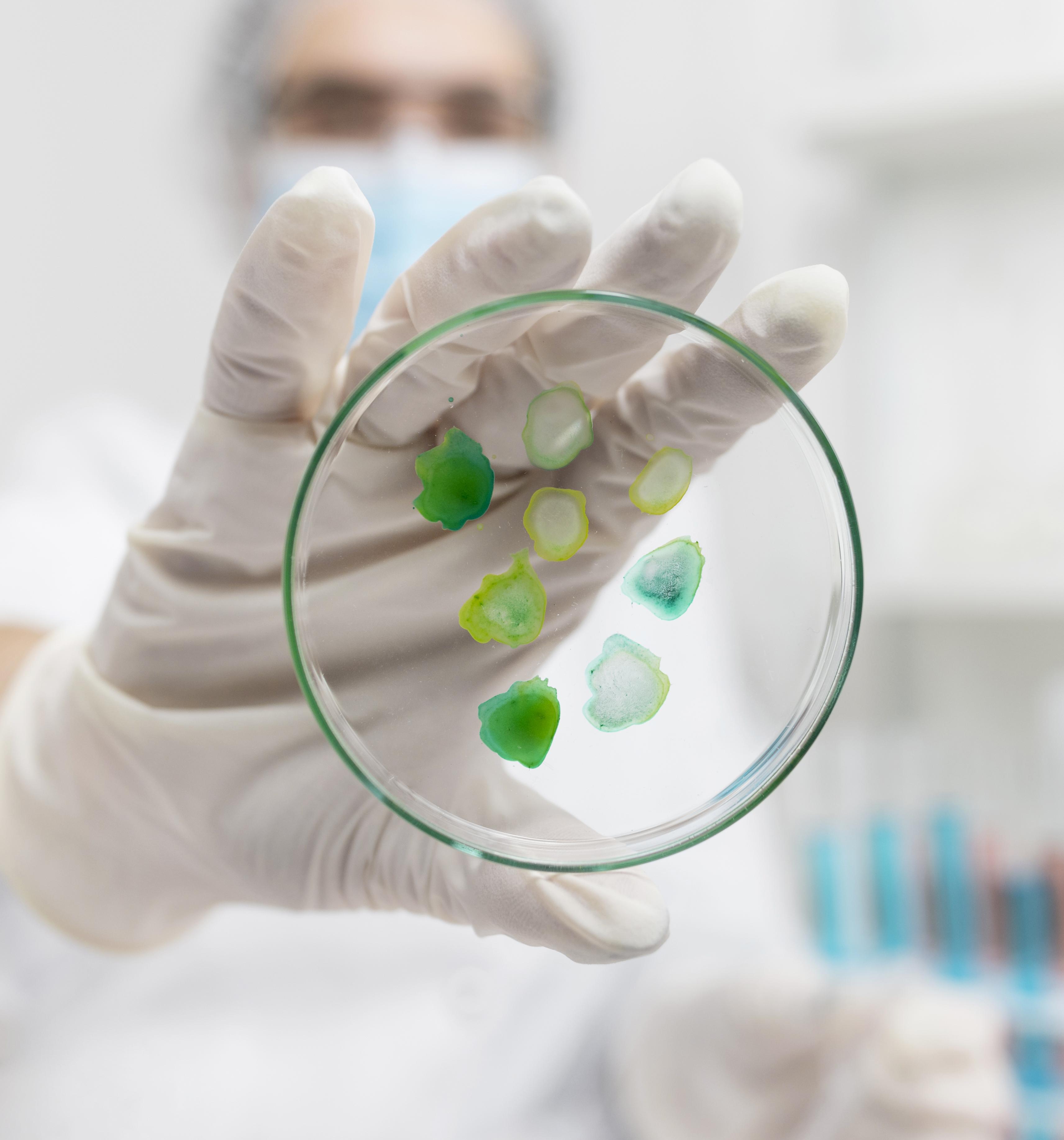 Bioplastic